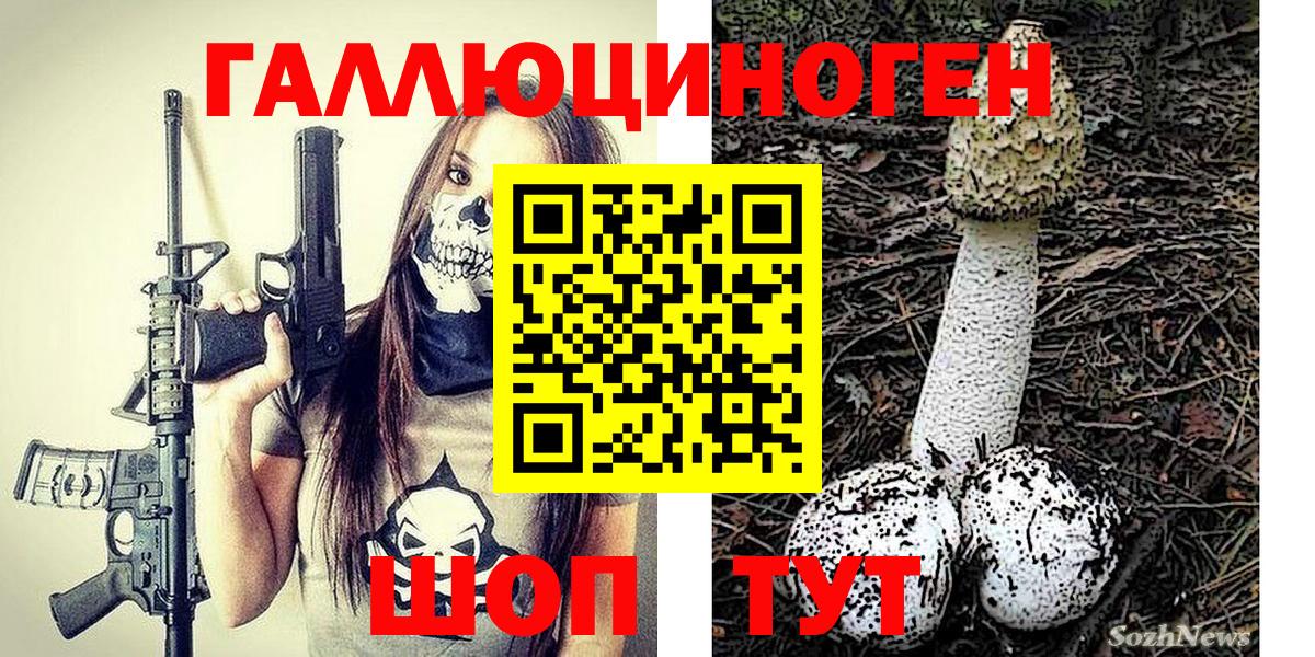 Псилоцибиновые грибы мухоморы Гай